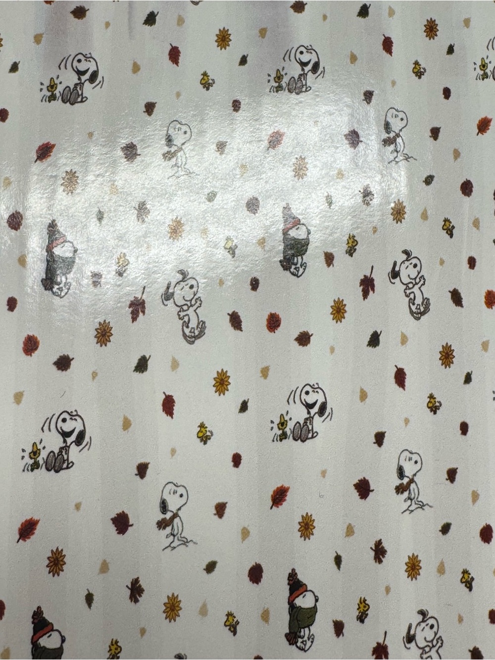 Peanuts Snoopy Fall Fabric Shower Curtain